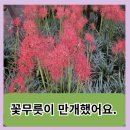 광주광역시북구청소년수련관 이미지