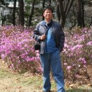 방화1동175 이미지