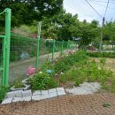(매매가/내립니다.)농막 (3m*6,5m),토지69평,버스정류장 1분거리,안성시일죽면.(매매나 월세를바랍니다.) 이미지