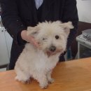 말티네 집 이미지