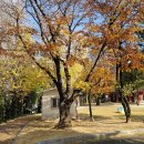 남산공원 이미지