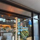 에이웍스 | < 양양 맛집 > 전국 10대 피자집 선정 반려동물 동반 가능 블루리본 매장 싱글핀 에일웍스 식사 후기