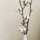 이레목장 이미지