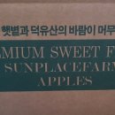 햇터농장 이미지