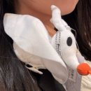 디씨굿즈