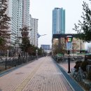 가고파초등학교 이미지