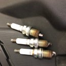 애니카랜드 도량점 이미지