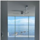 코랄트리 풀빌라 이미지