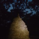 라온태양광발전소 이미지