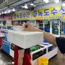 대천아도니스펜션 | 대천 가성비 숙소 추천: 대천 해수욕장 도보 1분 아도니스 펜션