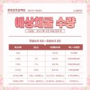파이온