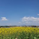 맥도반점 이미지