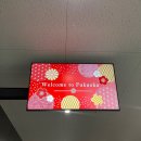 신신마트 | 3일 후쿠오카여행 (1)｜프린스 스마트 인 하카타, 신신라멘, 아뮤플라자, 로피아 마트, 캐널시티 분수쇼