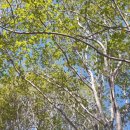 주남펜션민박 이미지