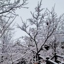 점성공원 이미지