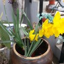 남해쁠라야 이미지