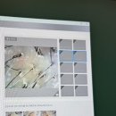 현대카클리닉정비센터 | 대전두피클리닉 두피관리 잘하는 곳, WT메소드 유성대덕점