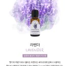 라벤더스파 이미지