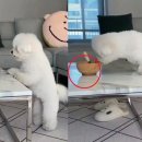 테이블위