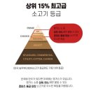 미트팩토리 | 내돈내산 | 소고기 케이크, [미트팩토리 하트 꽃갈비 케이크] 솔직 후기
