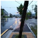 양정동 주민센터 이미지