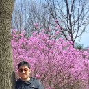 부천종합운동장 이미지