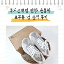 친환경운동화손세탁 | 족저근막염 운동화 르무통 업 솔직 후기 -가볍고 편한 운동화 추천