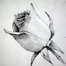 데생 중급 이미지