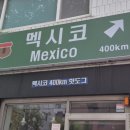 멕시코400km핫도그