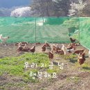 흰돌농장 이미지