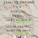 금손언니 네이버블로그