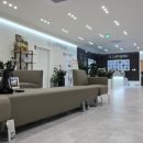 횡성정형외과의원 이미지