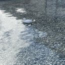 (주)와와컴파니 이미지