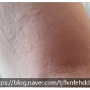 서리풀동의보감한의원 이미지