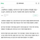 태극타이거합기도 이미지