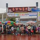 동강전통시장 이미지