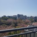 강정동-21 이미지