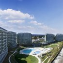 샌드파인 골프클럽 이미지