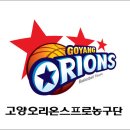 올타임 대구 오리온스 vs 올타임 고양 오리온스 이미지