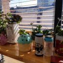 사회적협동조합 마을애 이미지