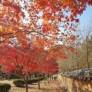 고향정식당 이미지