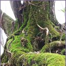 일구목장 이미지