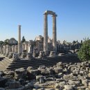 이오니아 이미지