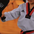 날아라 용인대 태권도장 이미지