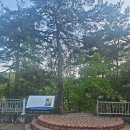 DMZ 평화의 길 23코스(풍산교 ~ 국제평화아트파크) 걷기 - 2025.04.30
