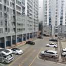 청수승마체험장 | 107th 영월 달빛 동물원 캠핑후기