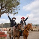 탐라승마장 이미지