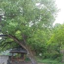 수곡2리(막금마을앞) 이미지