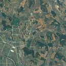 노안농장 이미지