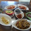 모자백반 이미지